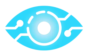 Our Vision