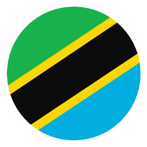 Tanzania Flag