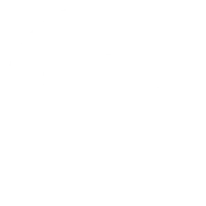 Icon representing that Paratus is born in Africa.