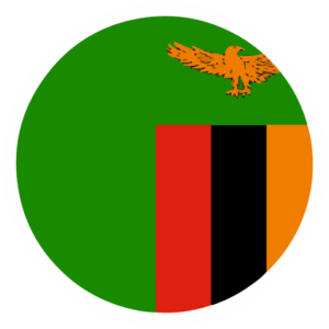 Paratus Zambia Flag